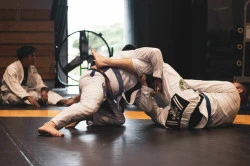 Aikido près d'Albigny-sur-Saône