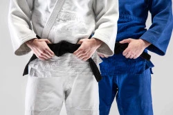 Judo près d'Albigny-sur-Saône