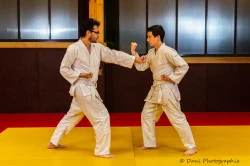 Tai Jitsu près d'Albigny-sur-Saône